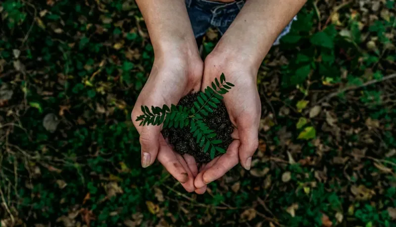 Sustainable Products